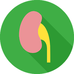 A green circle with a pink object in it Description automatically generated